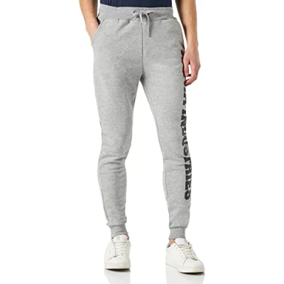 Afbeelding van Alpha Industries BIG Letters Trainingsbroek, Heren, Maat: Medium, Grey heather