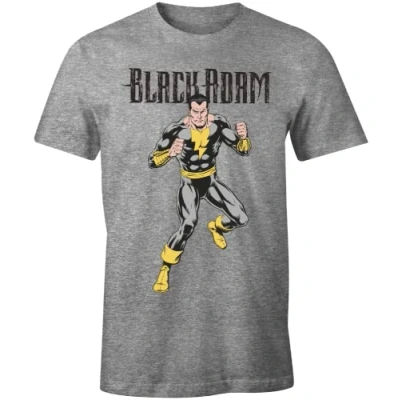 Afbeelding van dc comics MEBLADOTS003 T shirt, Grijs gemêleerd, XXL heren, Chinees,