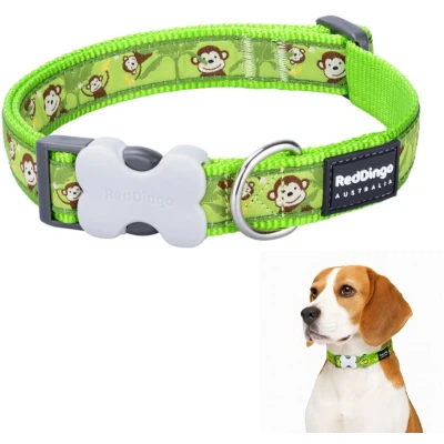 Afbeelding van Hondenhalsband Red Dingo STYLE MONKEY LIME GREEN 15 mm x 24 36 cm