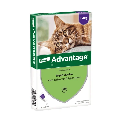 Afbeelding van Advantage 80 kat &gt; 4 kg pipetten