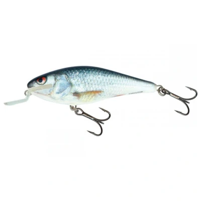 Afbeelding van Salmo Floating Executor (5cm 5g) Size : Real Dace