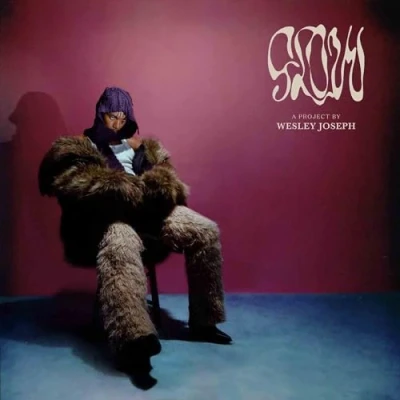 Afbeelding van Wesley Joseph Glow Ep (LP)