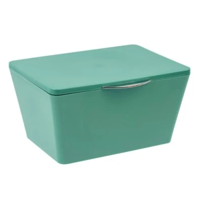Afbeelding van Wenko Opbergdoos Brasil 19 X 10 15,5 Cm Tpe Groen