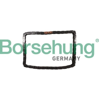 Afbeelding van Borsehung B12784 Distributieketting