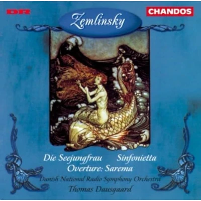 Afbeelding van Danish National Radio Symphony Orchestra The Mermaid (CD)