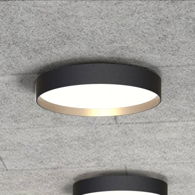Afbeelding van LOOM DESIGN LED plafondlamp Lucia zwart/goudkleurig Ø 45 cm