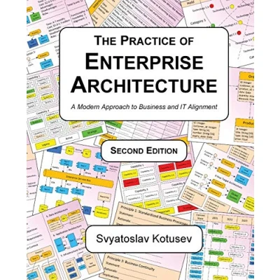 Afbeelding van The Practice of Enterprise Architecture: A Modern Approach to Business and IT Alignment
