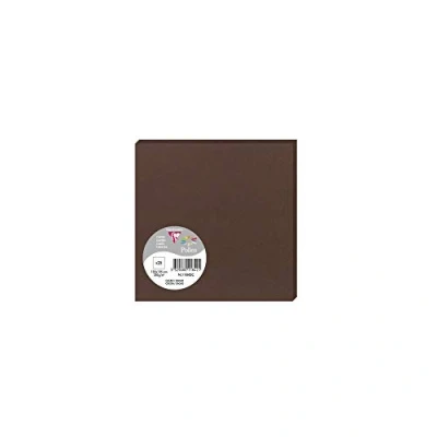 Afbeelding van Clairefontaine Ref 11842C Pollen Card (Pack van 25 vellen) 135 x mm formaat, zuurvrij, Inkjet &amp; Laser compatibel, gemakkelijk te schrijven op, 210 gsm kaart Cacao