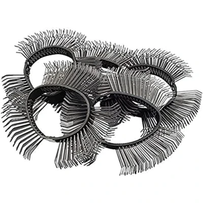 Afbeelding van Hazet 9033 6 03/5 Borstelband 11 mm 1 stuk(s)