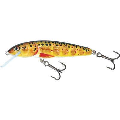 Afbeelding van Salmo Minnow Sinking 6cm 6g (diepte: 1 1.5m) Kleur : Trout