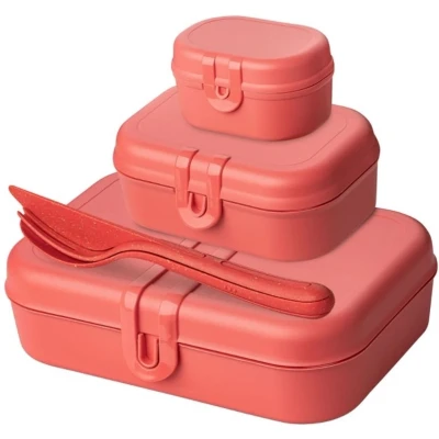 Afbeelding van Lunchbox Koziol Bio Circulair Pascal Ready Nature Coral (6 Delig)