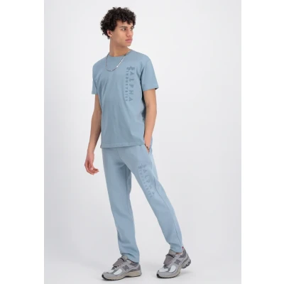 Afbeelding van Alpha Industries Tshirt print, Heren, Maat: Small, Greyblue