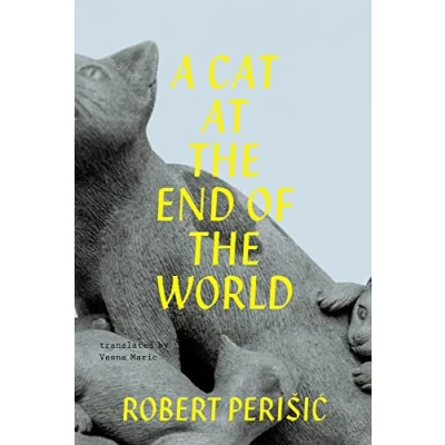 Afbeelding van A Cat At the End of World