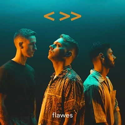 Afbeelding van Flawes One Step Back, Two Steps Forward (LP)