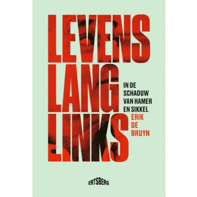 Afbeelding van Levenslang links (Paperback)