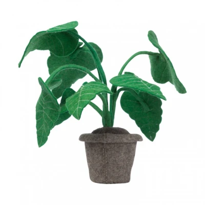 Afbeelding van Decoratieplant Kidsdepot Alocasia