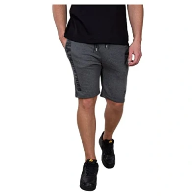 Afbeelding van Alpha Industries Basic Short SL Korte broek voor heren Grey Heather