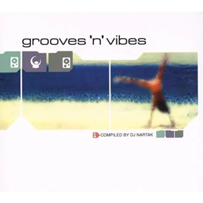 Afbeelding van Various Artists Grooves &#039;n&#039; Vibes (CD)