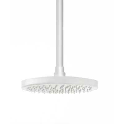 Afbeelding van Waterevolution Flow hoofddouche 250mm met plafondaansluiting mat wit T164225BR