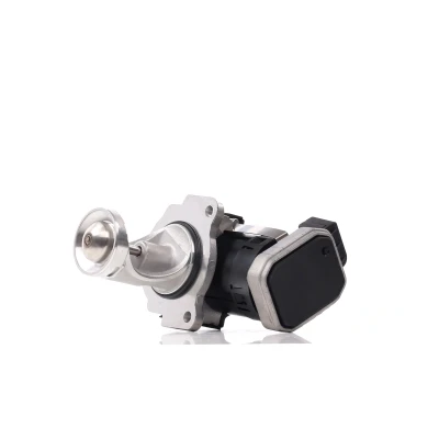 Afbeelding van Delphi Diesel EGR klep EG10431 12B1