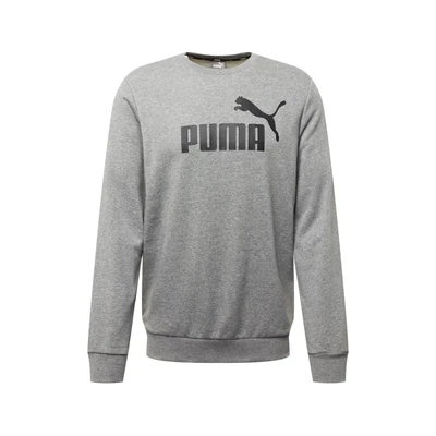 Afbeelding van Trui Puma Men Essentials Big Logo Crew Gray S