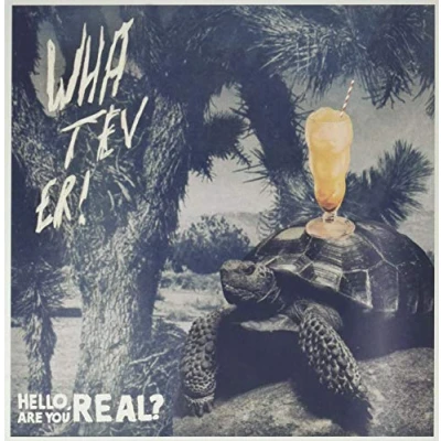 Afbeelding van Whatever Hello Are You Real / Aron Dalesio (2 LP)
