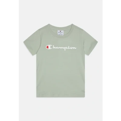 Afbeelding van Champion Icons Crewneck WITH Large LOGO Tshirt print voor kinderen, Maat: 162/167, Light green