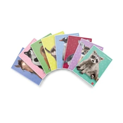 Afbeelding van Pigna 02325970Q Maxi schriften A4, liniatuur 10, verpakking van 10 stuks