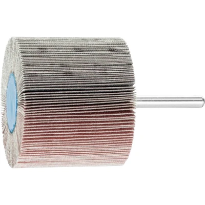 Afbeelding van PFERD 44511246 Lamellenschijf Diameter 60 mm 10 stuk(s)