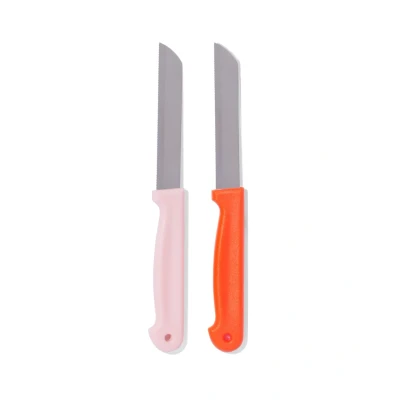 Afbeelding van HEMA Tomatenmesjes Rvs 2 Stuks
