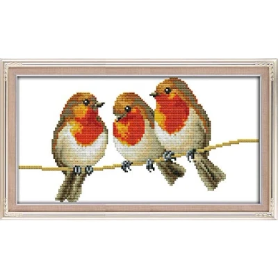 Afbeelding van Awesocrafts Kruissteekkits, Drie kleine vogels Easy Patterns Cross Stitching Embroidery Kit benodigdheden, Getelde opties voor volwassenen, Beginners Kindergeschenken (Vogels, Geteld)