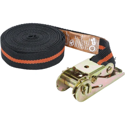 Afbeelding van BGS Ratel spanband 5 m x 25 mm