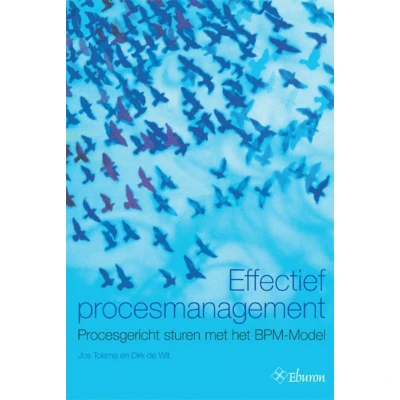 Afbeelding van Effectief procesmanagement (Paperback)