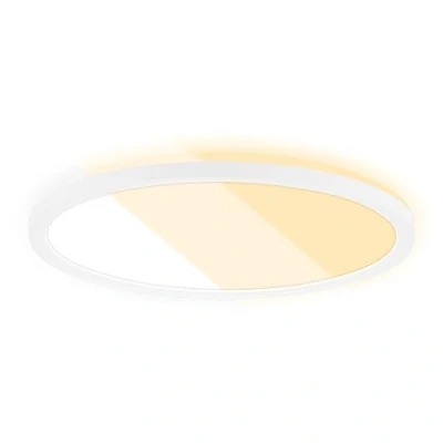 Afbeelding van Briloner Leuchten SLIM Paneelverlichting 18 Watt CTS kleurwisseling wit 2000,3000,4000 Kelvin 400 lm