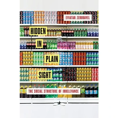 Afbeelding van Hidden in Plain Sight: The Social Structure of Irrelevance