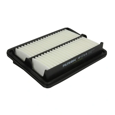 Afbeelding van Filtron Luchtfilter AP 173/8