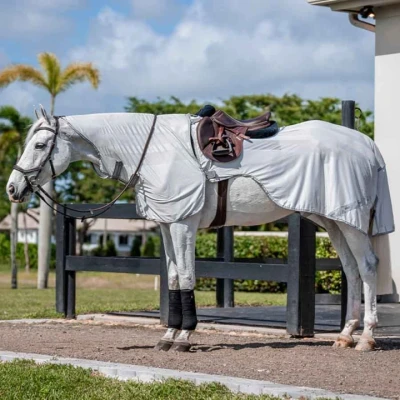 Afbeelding van Amigo Flyrider Silver/Titanium Grey/Silververkocht door Agradi