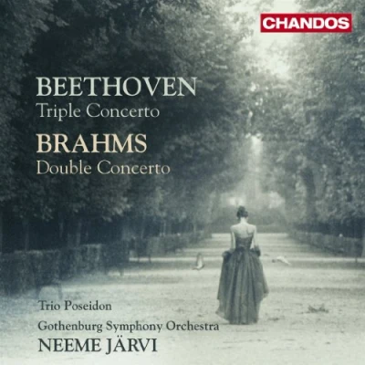 Afbeelding van Trio Poseidon &amp; Gothenburg Symphony Orchestra, Neeme Järvi Beethoven: Triple Concerto/Double Concerto (2 CD)