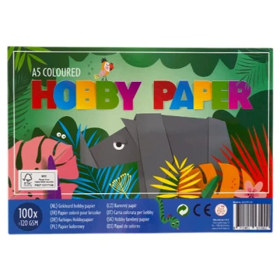 Afbeelding van Basic Hobbypapier Gekleurd 100 Vel A5