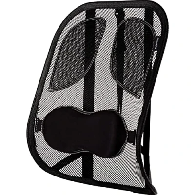 Afbeelding van Fellowes 8029901 Mesh rugsteun Professional Series met geïntegreerde kussens, grafiet