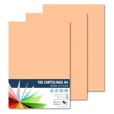 Afbeelding van Raylu Paper® A4 100 stuks, vleeskleurig, 180 g, 210 x 297 mm, ideaal voor verband, kantoorwerk, tekenen, knutselen, geschikt school. (vlees)