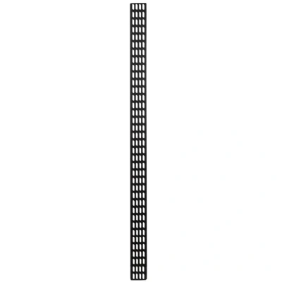Afbeelding van DSIT 37U verticale kabelgoot 30cm breed netwerkkabel