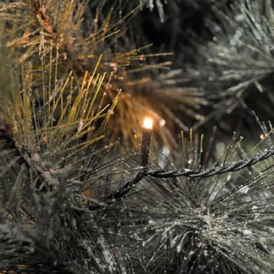 Afbeelding van Kerstboomverlichting led kerstverlichting binnen 120 lampjes 19.