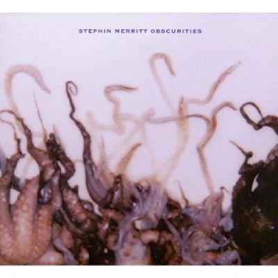 Afbeelding van Stephin Merritt Obscurities (LP)