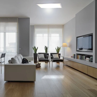 Afbeelding van näve Led plafondlamp Sorriso Opbouwpaneel 30x60cm &#039;Sorriso&#039;, inclusief 96 leds totaal 18W 4000K, 1600lm