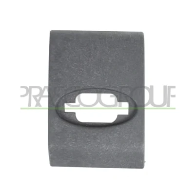 Afbeelding van Sier / beschermingspaneel, deur PRASCO OP9541426