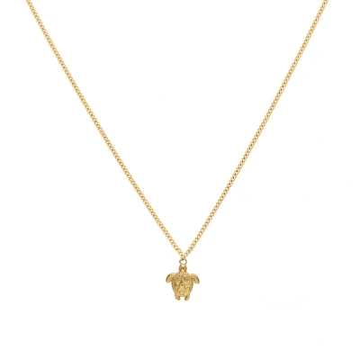 Afbeelding van Gouden ketting met schildpad