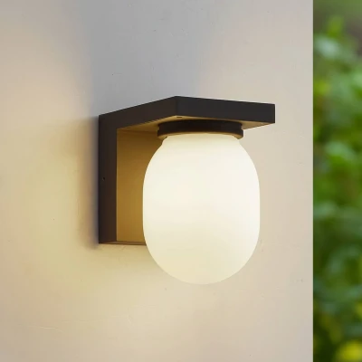 Afbeelding van Lucande buitenwandlamp Ovaali, glas, donkergrijs, IP65
