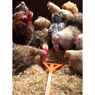 Afbeelding van Hentastic Fun Feeder, ideal for Chick Sticks