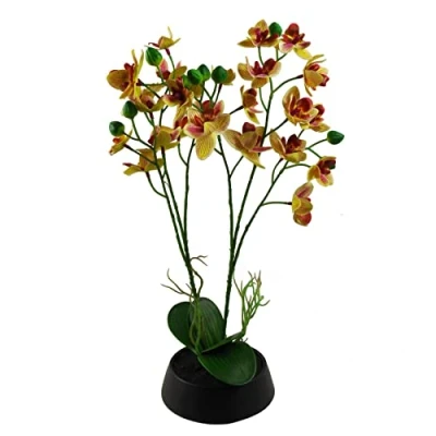 Afbeelding van Luxe Ingemaakte Orchidee Kunstmatige